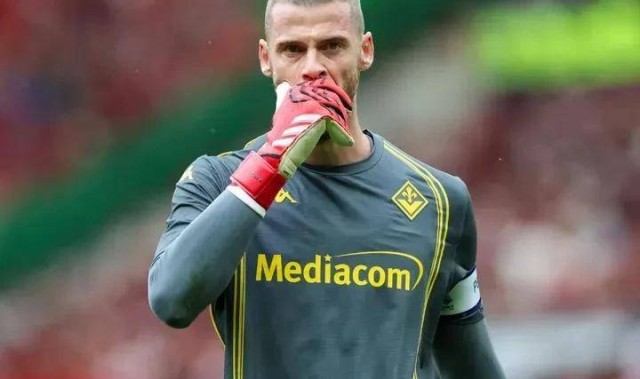 德甲云达不莱梅VS霍芬海姆意大利杯佛罗伦萨VS科莫比分预测