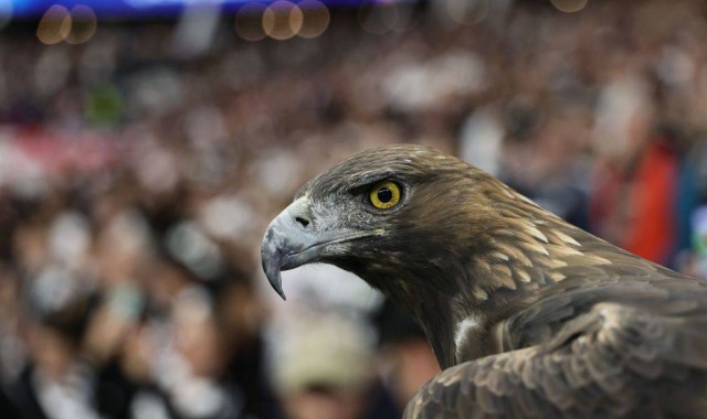 德甲彩经：法兰克福反客为主 圣保利主场拿分的精彩对决